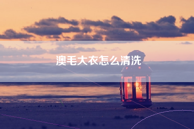 澳毛大衣怎么清洗