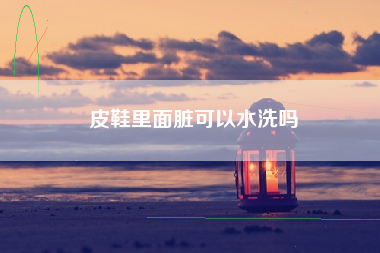 皮鞋里面脏可以水洗吗