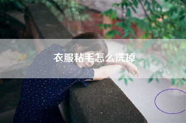 衣服粘毛怎么洗掉