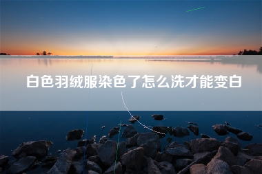 白色羽绒服染色了怎么洗才能变白