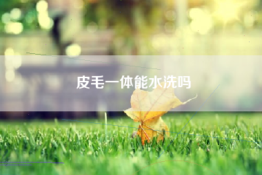 皮毛一体能水洗吗