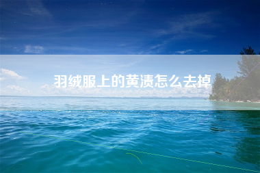 羽绒服上的黄渍怎么去掉
