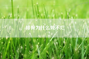 排骨为什么炖不烂