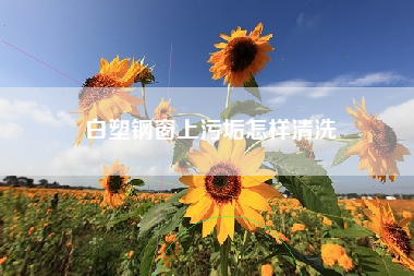 白塑钢窗上污垢怎样清洗