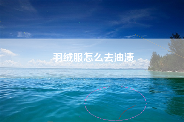 羽绒服怎么去油渍