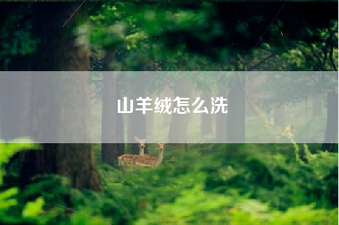 山羊绒怎么洗