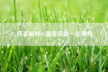洗衣粉和84消毒液能一起用吗