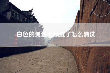 白色的狐狸毛领脏了怎么清洗