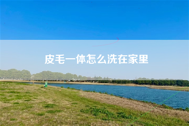 皮毛一体怎么洗在家里