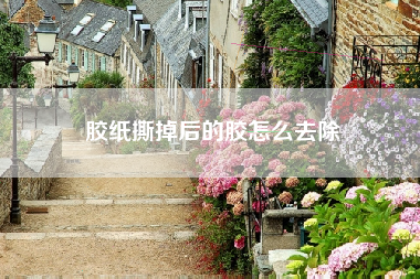 胶纸撕掉后的胶怎么去除