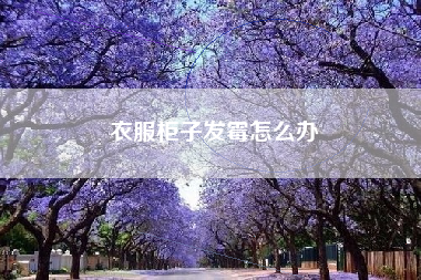 衣服柜子发霉怎么办