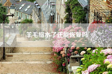 羊毛缩水了还能恢复吗