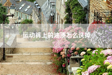 运动裤上的油渍怎么洗掉