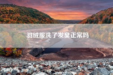 羽绒服洗了发臭正常吗