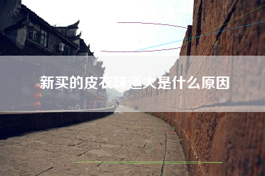 新买的皮衣味道大是什么原因
