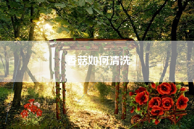 香菇如何清洗