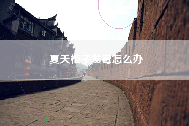 夏天柜子发霉怎么办