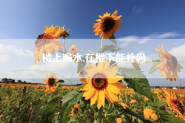 楼上漏水,在楼下能补吗