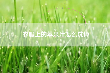 衣服上的苹果汁怎么洗掉