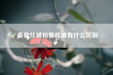 桑蚕丝被和蚕丝被有什么区别