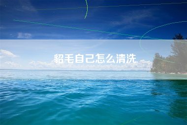 貂毛自己怎么清洗