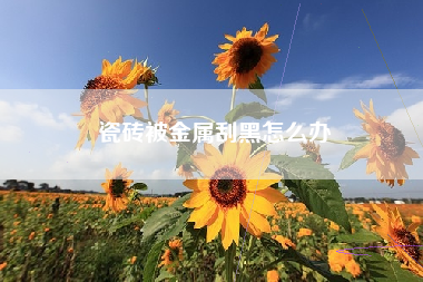 瓷砖被金属刮黑怎么办