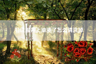 羽绒服弄上油渍了怎么清洗掉