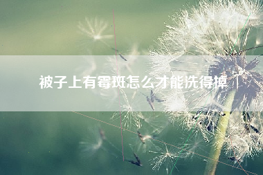 被子上有霉斑怎么才能洗得掉