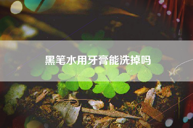 黑笔水用牙膏能洗掉吗