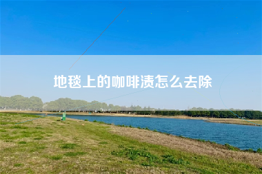 地毯上的咖啡渍怎么去除