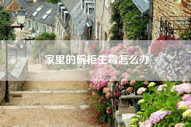 家里的碗柜生霉怎么办