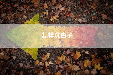 怎样洗杏子