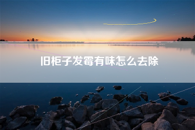 旧柜子发霉有味怎么去除