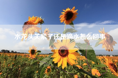 水龙头关紧了还是滴水怎么回事