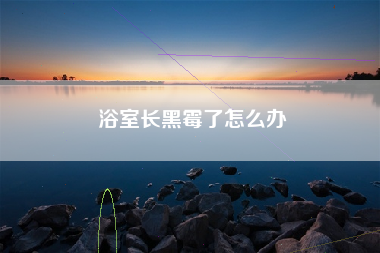 浴室长黑霉了怎么办