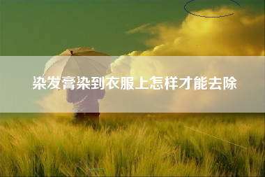 染发膏染到衣服上怎样才能去除