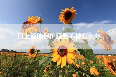 门上面的保护膜撕不掉怎么办