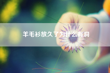 羊毛衫放久了为什么有洞