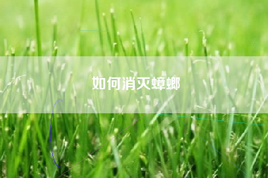 如何消灭蟑螂