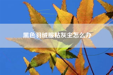 黑色羽绒服粘灰尘怎么办