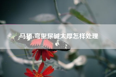 马桶s弯里尿碱太厚怎样处理