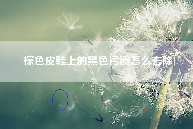 棕色皮鞋上的黑色污渍怎么去除