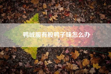 鸭绒服有股鸭子味怎么办