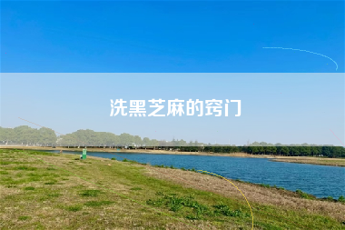 洗黑芝麻的窍门