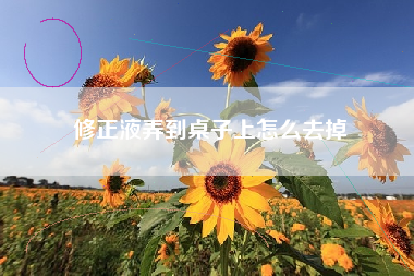 修正液弄到桌子上怎么去掉