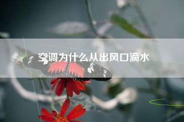 空调为什么从出风口滴水