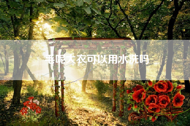 毛呢大衣可以用水洗吗