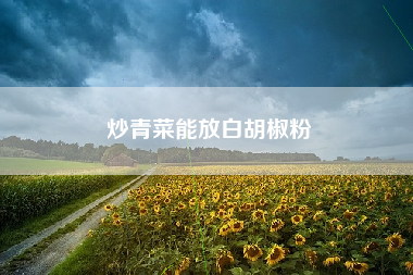 炒青菜能放白胡椒粉