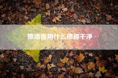 擦墙面用什么擦得干净