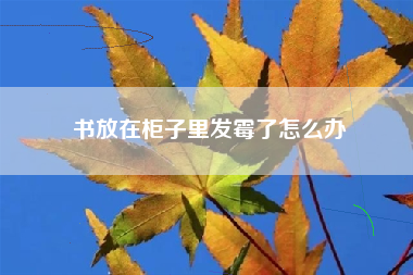 书放在柜子里发霉了怎么办